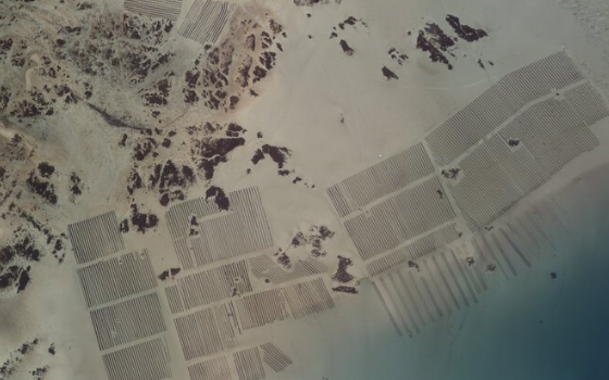 Improving Surveillance of Coastal Erosion Improving Surveillance of Coastal Erosion