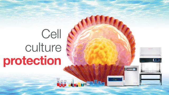 Contaiment Cell Lab Contamination Control in Cell Culture: A Technology-Driven Approach