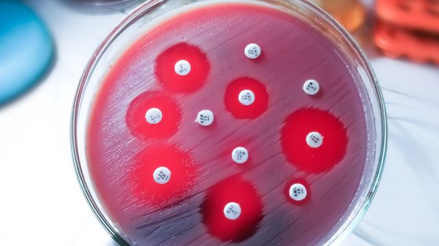 AST Uncovered: The Future of Rapid Antimicrobial Susceptibility Testing